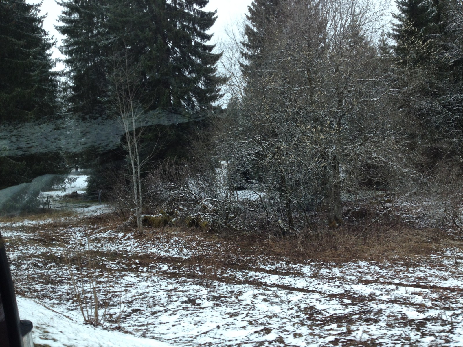 Photographie du 23.03.2014